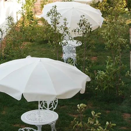 Cunda Fora Hotel Ayvalik